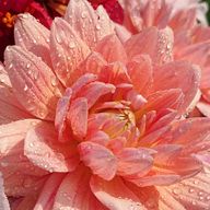 rio〜🌟🎵🍒さんのアイコン画像