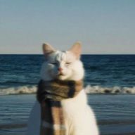 incon_oGOkさんのアイコン画像