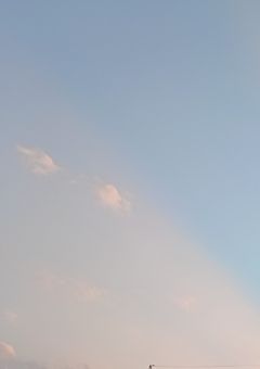 ただの幼なじみ__なはずだった。