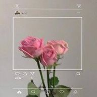 rrmさんのアイコン画像