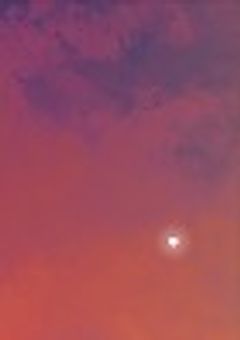 有名人たちのハチャメチャ学園セーかつ！　　　　　　参加型