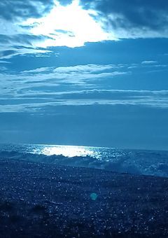 政府公認討伐部隊