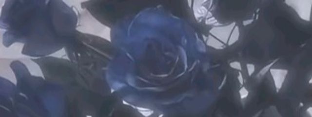 れな🌹さんの壁紙画像