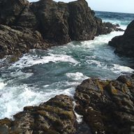 Znさんのアイコン画像