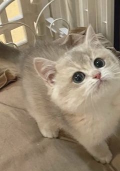 　お 友 達 を 恵 ん で く だ さ い