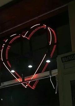 写真投稿（実写有