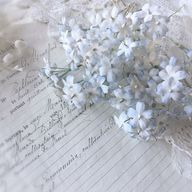 雨柳　海月さんのアイコン画像