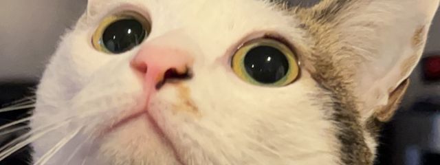ラスさんの壁紙画像
