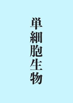 ＜   雑談部屋   ＞