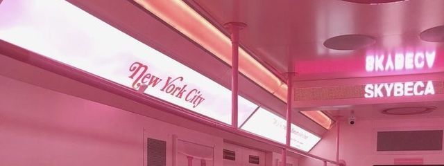 人間辞めたニダさんの壁紙画像