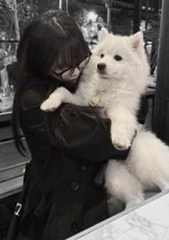わ ん こ 系 彼 氏