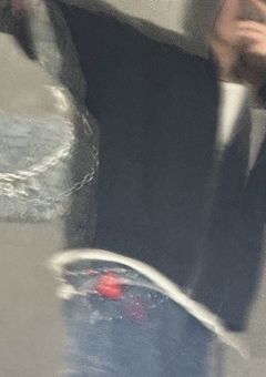がーるふれんど