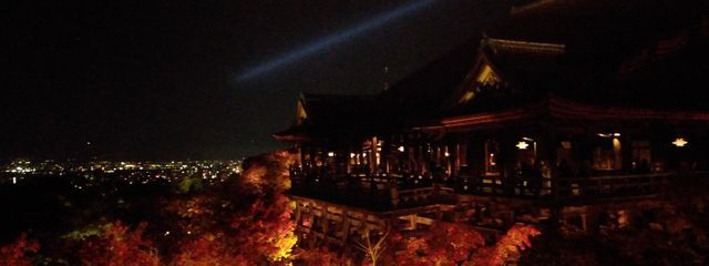 シーちゃんさんの壁紙画像