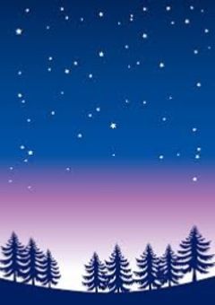 新  人  ラ  イ  バ  ー  は  、  子  供  で  し  た  。