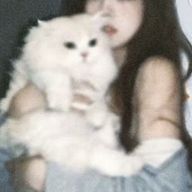 showmemercyさんのアイコン画像