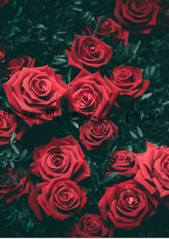 仲間の死を超えて逢いに逝く。【APH】