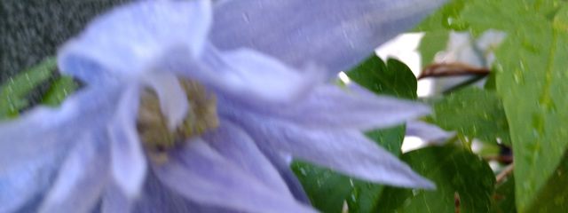 teshichanさんの壁紙画像