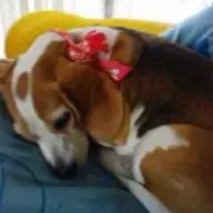 かなさんのアイコン画像