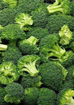 都市伝説調査系YouTuberグループ<創作参加型>