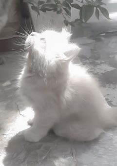 こんなことある!? (ymmt)