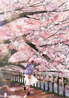 桜のような私の恋人