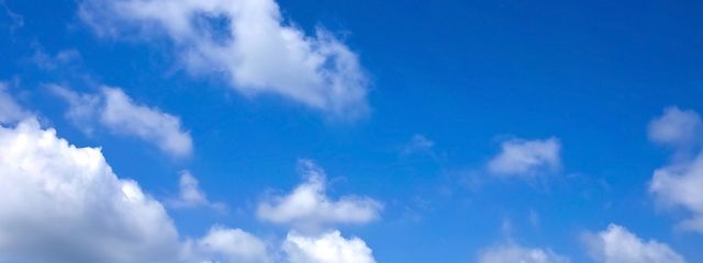 蓮（元連）活動休止します。（少しずつ復帰中）と同一人物　さんの壁紙画像