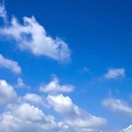 蓮（元連）活動休止します。（少しずつ復帰中）と同一人物　さんのアイコン画像