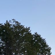 ゆうらくさんのアイコン画像