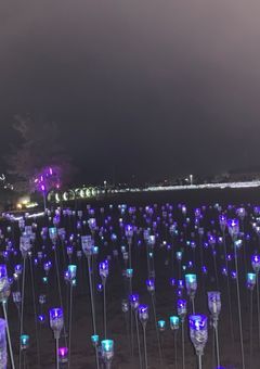 短編集
