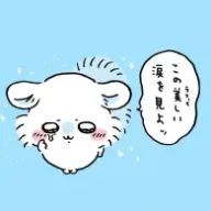 さやかさんのアイコン画像