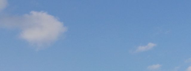 さくら🌸餅さんの壁紙画像