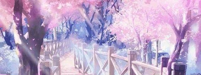 愛桜🌸🩷😻さんの壁紙画像