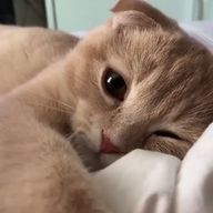 雅☆+.･さんのアイコン画像