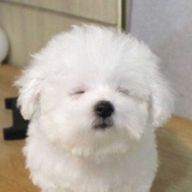 jnさんのアイコン画像