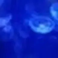 ぷぃさんのアイコン画像