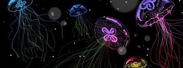 夜桜 冬夢さんの壁紙画像