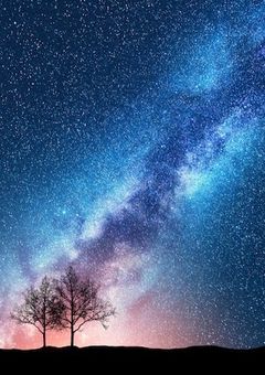 信じて待つよ、100年でも