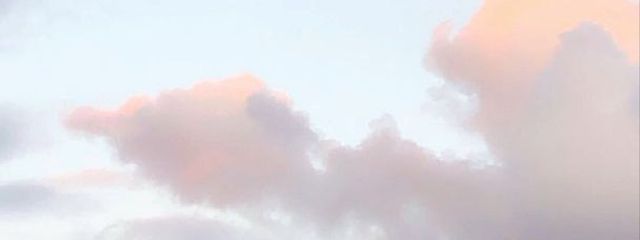 𝙔𝙖𝙣𝙖𝙜𝙞 @ thank youさんの壁紙画像