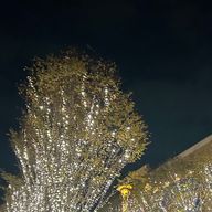 Riさんのアイコン画像