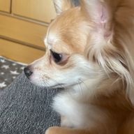 エスさんのアイコン画像