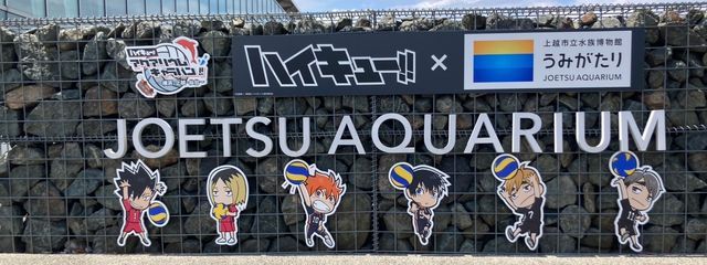 神﨑響輝@活動再開中、低浮上気味さんの壁紙画像