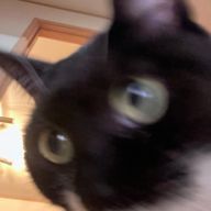 ‪𓂃𝘩𝘪𝘴𝘶🥄🎮🤍さんのアイコン画像