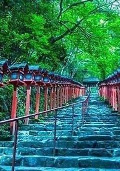 目立ちたい陽キャと目立ちたくない陰キャ【tn】