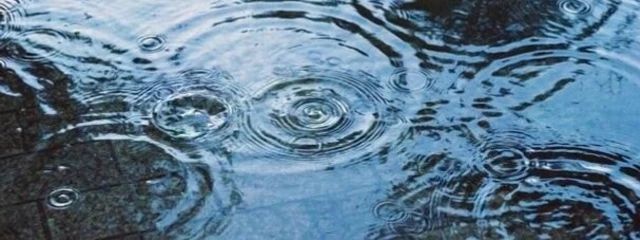 ほわいと❄️🏳️さんの壁紙画像