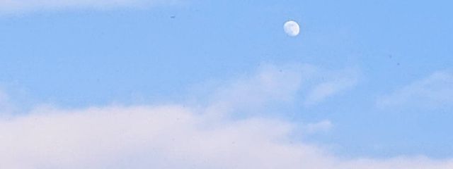 ʚ翼ɞ@T H E⭐︎復活！！！さんの壁紙画像
