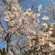 みい汰さんのアイコン画像