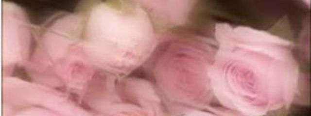 ︎︎︎︎︎︎☑︎ でぃでぃさんの壁紙画像