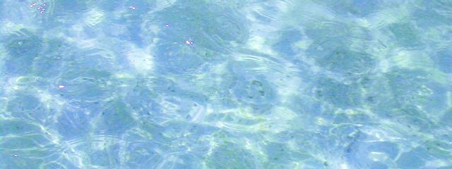 奥月🌕⋆͛🐇 さんの壁紙画像