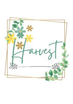 【事務所】Harvest