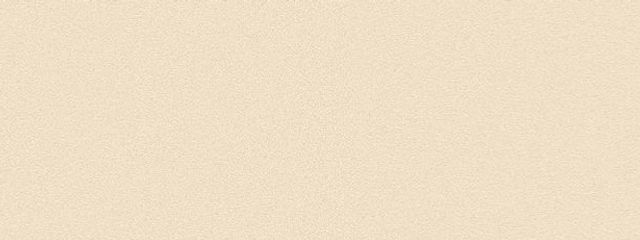 U 𓈒𓂂𓏸💭✈（読み専）さんの壁紙画像